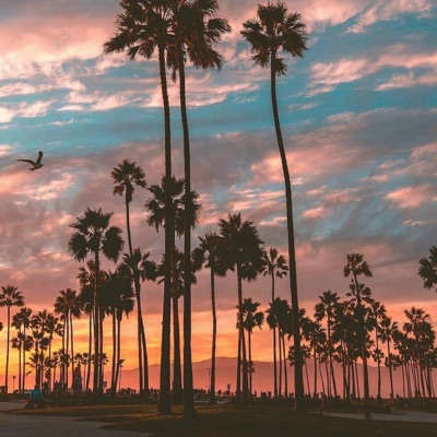 Sunset Bounce (feat. Jeremi Pawlak & Piotr Pawlak) - Single