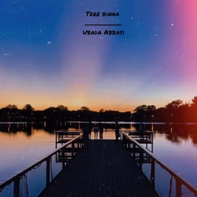 Tere Binaa - Single