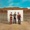 Jonas Brothers - Montana Sky - The Album
