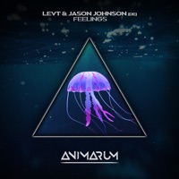 Feelings - Single - LEVT & Jason Johnson