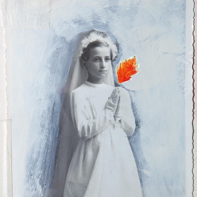 La Cattedra DI Notredame