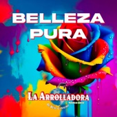 Belleza Pura artwork