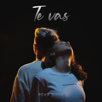 Te Vas - Single - Peka Roux