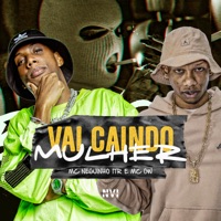 Vai Caindo Mulher (feat. DJ DUDA NOVAEZ) - Single - Mc Neguinho do ITR, MC GW & Dj Paulinho
