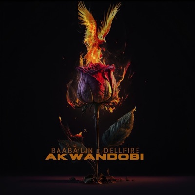 Akwandobi (feat. Dellfire) - Single