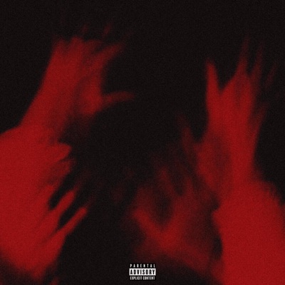 Drunk in Love - Single