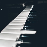 You Know This - Single - Tshiamo ART