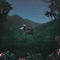 The Wet Path (Antaares Remix) - Apaj lyrics