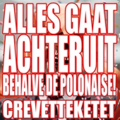 Alles Gaat Achteruit (Behalve De Polonaise) artwork