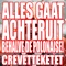 Alles Gaat Achteruit (Behalve De Polonaise) artwork