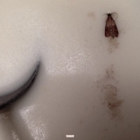 Mothmilk (feat. BONES) - Single - drip-133