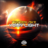 Your Light - Single - Winterlake