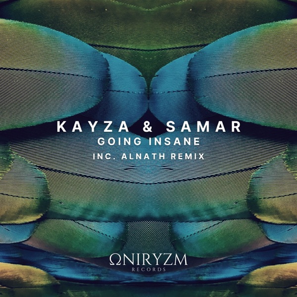 Going Insane - Single