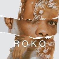 Roko - Single - Tanaka Siziba