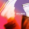 Ceilings - Single