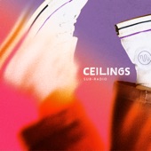 Ceilings artwork