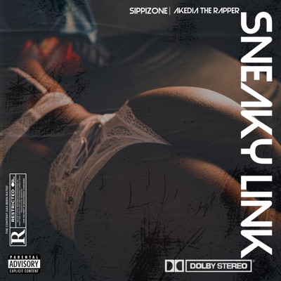 Sneaky Link (feat. Akedia) - Single