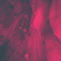 NRG (feat. STPH So Low) - Single - Kofuku