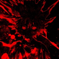 Scarlet Artist! - Single - Diversión 私に, WHITE DRAGON & sab one boy