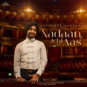 Nadan Jehi Aas artwork