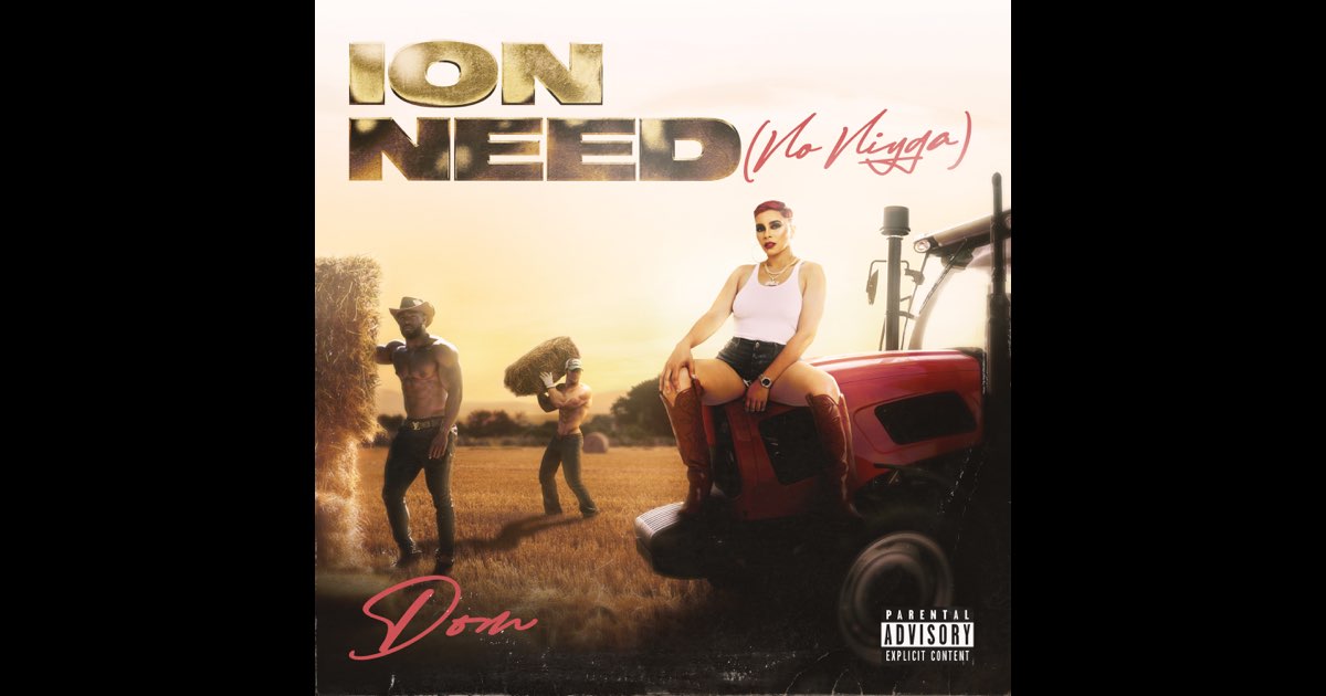 Ion Need (No Nigga) - Single - Album by DOM - Apple Music