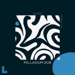 Palladium Dub - Single