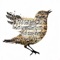 Sparrow (Instrumental Version) - Ronja Begle lyrics