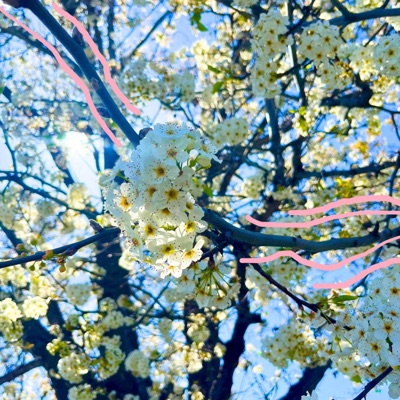 Luv Urself <3 - Single