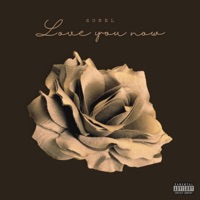Love You Now - Single - Sonel