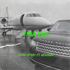 Tera friu (feat. Gedi1000) Dindi Spray