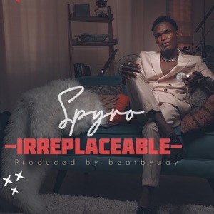 Irreplaceable - Single