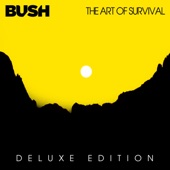 The Art of Survival (Deluxe) artwork