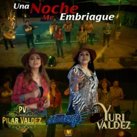 Una Noche Me Embriagué - Single - Pilar Valdez, yuri valdez & Los Nuevos Cervantes