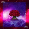 Rose - Single