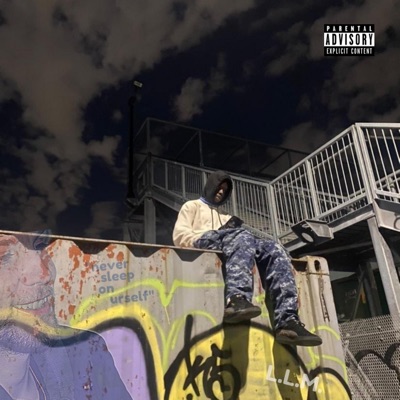 LLM - EP