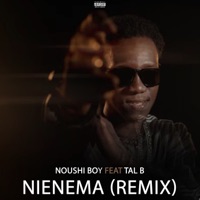 Nienema (Remix) [feat. TAL B] - Single - Noushi Boy
