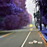 Melrose - Single - Drewkaii