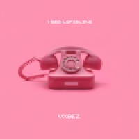 Hotline Bling - Single - Vxbez & DJ Rapture