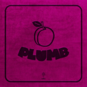 Plumb by David Murray, Ray Angry, ?uestlove