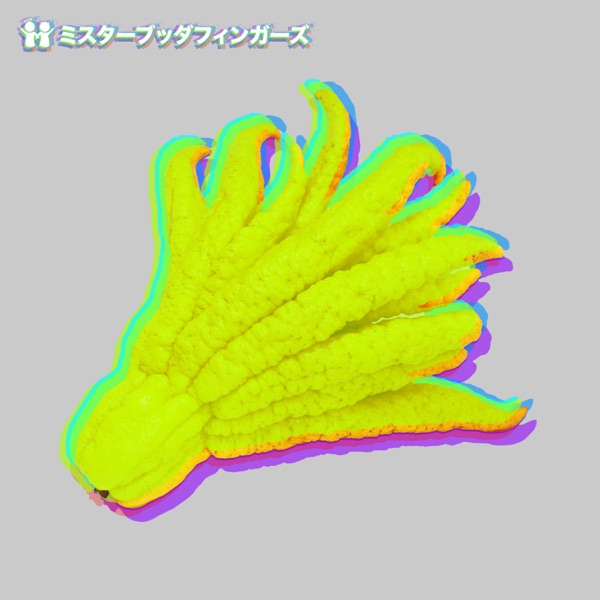 Mr Buddha Fingers - EP