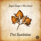 3 Haselnüsse (Extended Mix) artwork