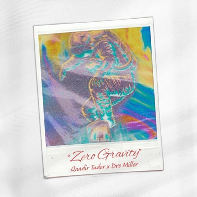Zero Gravity (feat. Dre Miller) - Single