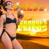 Salsa Grandes Éxitos