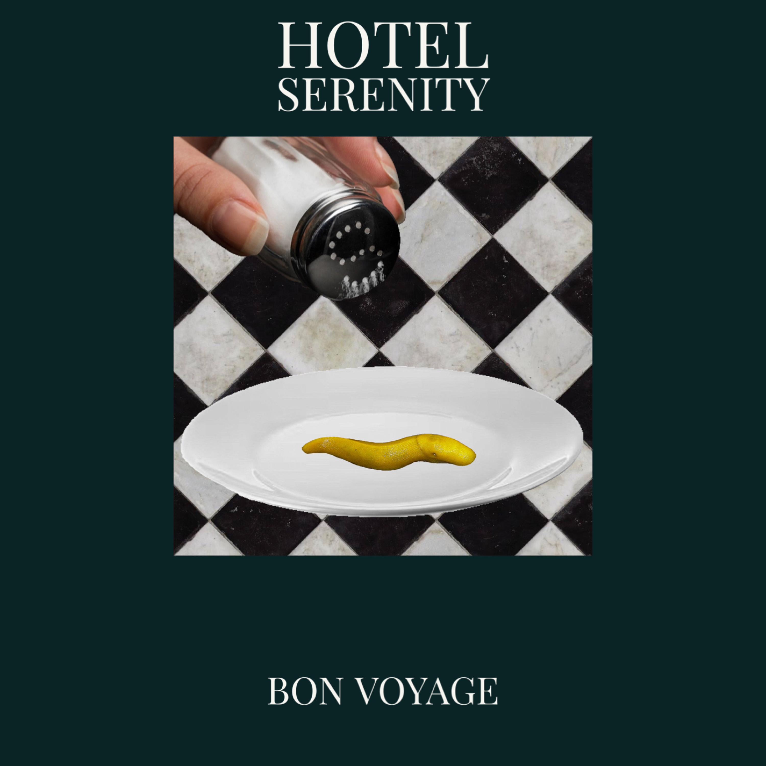 Bon Voyage - Single