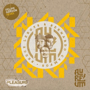 Pleasure - Single