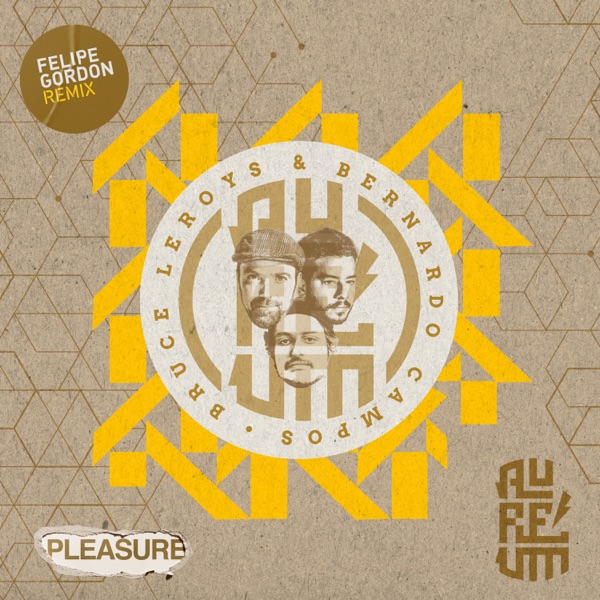 Pleasure - Single