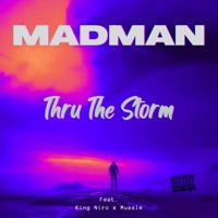 Thru the Storm (feat. KingNiro & Muzzle) - Single - Madman