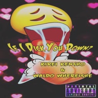 If I D You Down (Kirei Kensho & Waldo Whereishe) - Single - Waldo WhereIsHe