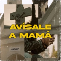 Avísale a Mamá - Single - Yorcaef
