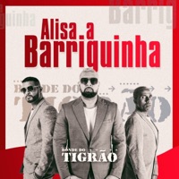 Alisa a Barriguinha - Single - Bonde do Tigrão